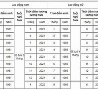 Bộ Đội Chuyên Nghiệp Bao Nhiêu Tuổi Nghỉ Hưu