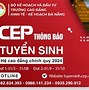 Cao Đẳng Kinh Tế Kế Hoạch Đà Nẵng Học Phí