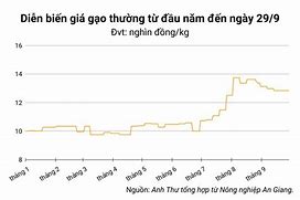 Giá Lúa Hôm Nay An Giang