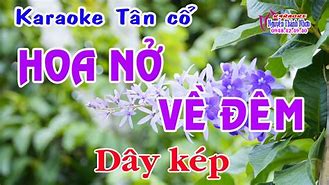 Karaoke Tân Cổ Hoa Nở Về Đêm Song Ca