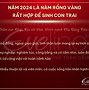 Những Tuổi Bố Mẹ Hợp Sinh Con Năm 2024