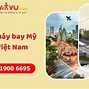 Vé Máy Bay Từ Mỹ Về Vn Giá Rẻ