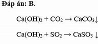 Vì Sao Khí Sulfur Dioxide Làm Đục Nước Vôi Trong